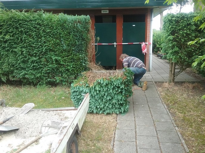 Struiken plat: meer ruimte voor gasten - Foto: Eigen geleverde foto