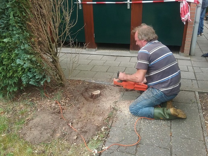 Struiken plat: meer ruimte voor gasten - Foto: Eigen geleverde foto