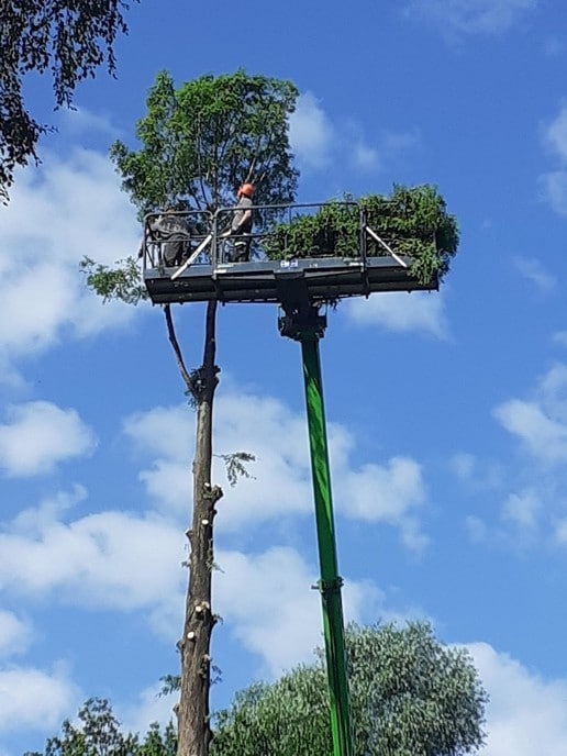 Hoge boom kopje kleiner gemaakt - Foto: Eigen geleverde foto