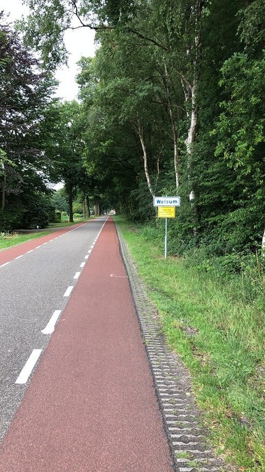 Waarschuwing: Buizerd beschermt zijn jongen - Foto: Gemeente Dalfsen