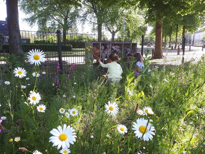 Metselbijen in Dalfesn - Foto: Ingezonden foto