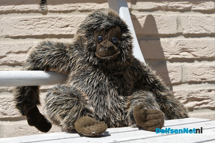 Dalfsen geniet weer op het terras in de zon bij 24 graden - Foto: Johan Bokma