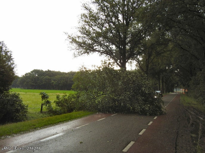 Stormschade Welsummerweg.