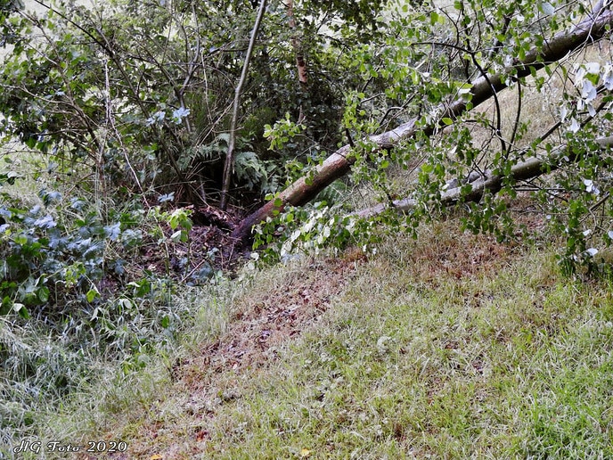 Stormschade Welsummerweg.