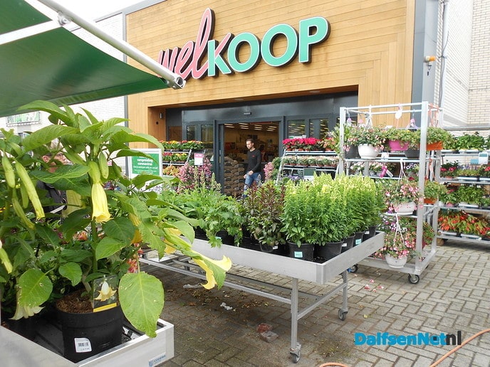 Als ze me missen ben ik bloemen aan het bewateren
