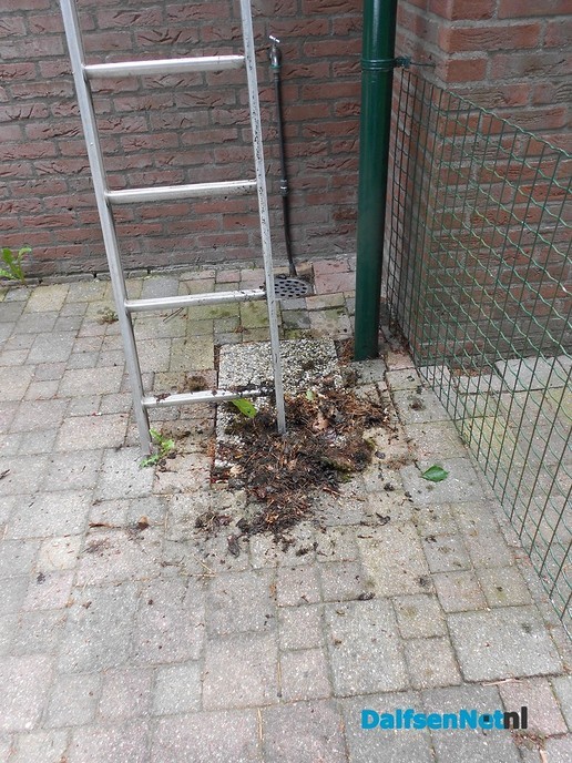 KNMI: Al vanaf 13.00 uur code geel