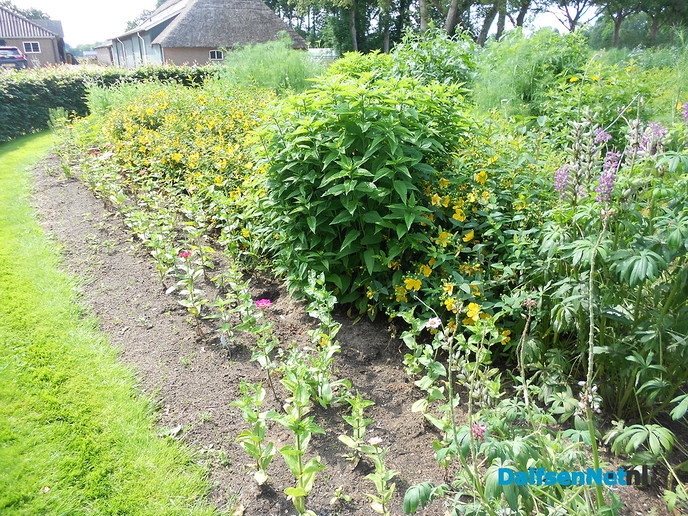 De pluktuin is open