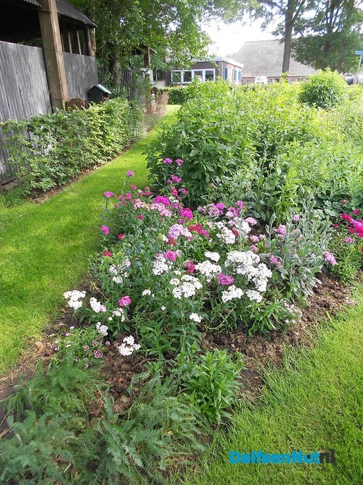 De pluktuin is open