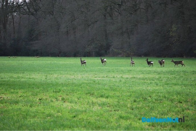 Stroom van kritiek zonnepark Hoevenweg - Foto: Ingezonden foto