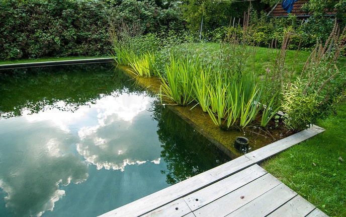 Subsidieregeling particuliere initiatieven succesvol - Foto: Ingezonden foto