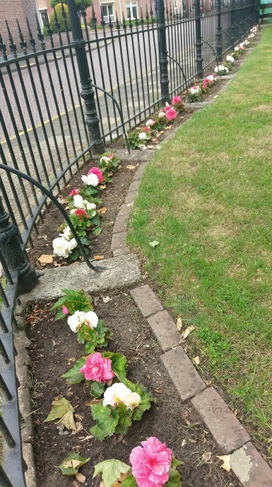 Tuin hospice weer pico bello - Foto: Ingezonden foto