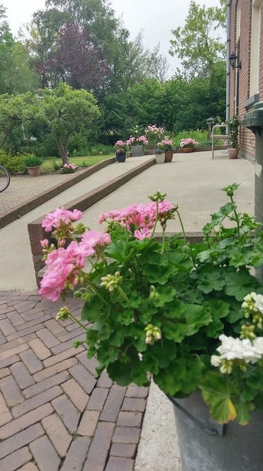 Tuin hospice weer pico bello - Foto: Ingezonden foto