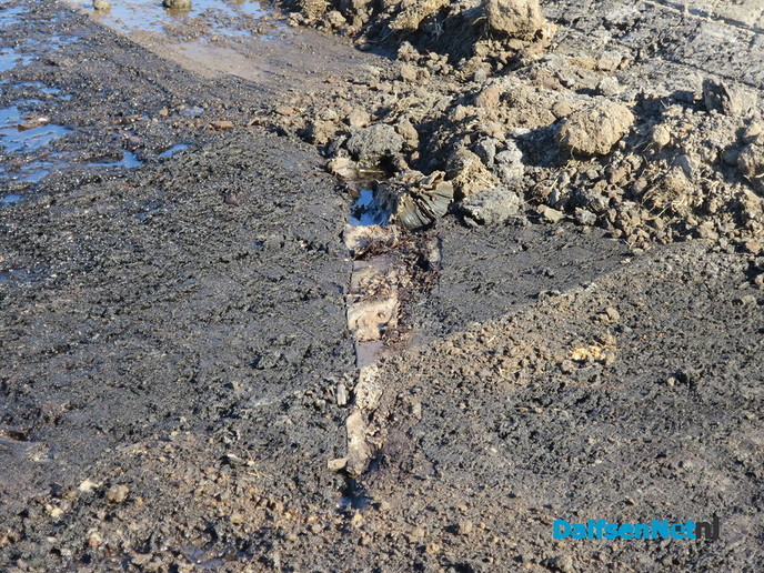 Oerbossen in Overijssel rond de Ierthe? - Foto: Wim