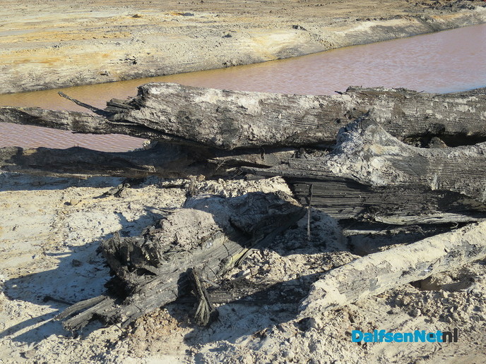 Oerbossen in Overijssel rond de Ierthe? - Foto: Wim