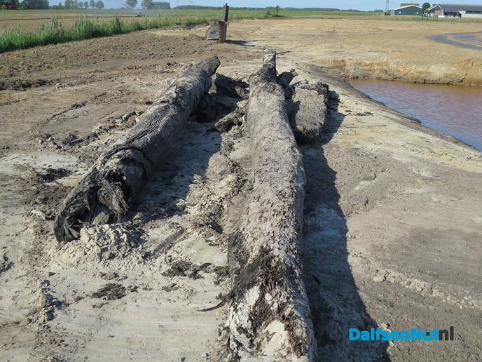 Oerbossen in Overijssel rond de Ierthe? - Foto: Wim