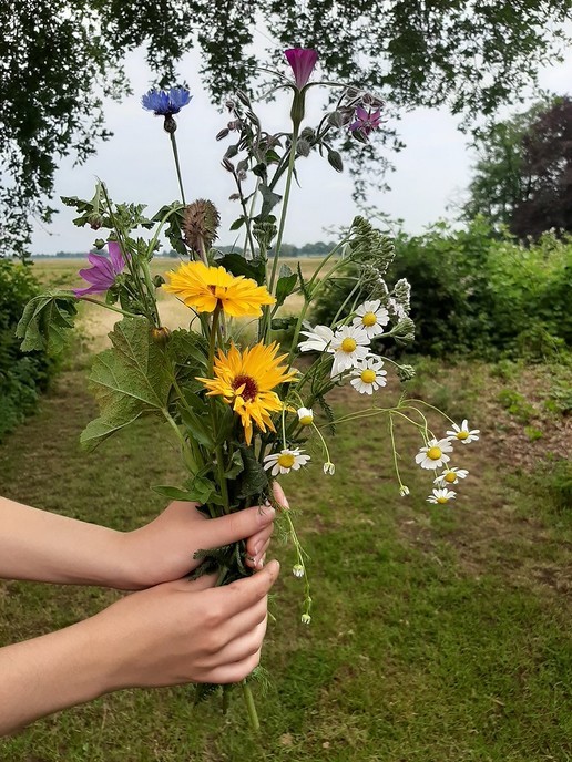 Jongeren van Karakter aan de slag in het landschap - Foto: Eigen geleverde foto
