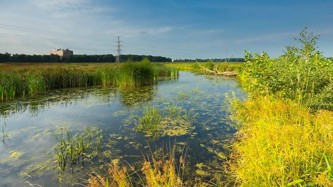 Regen geeft tijdelijke verlichting - Foto: Ingezonden foto