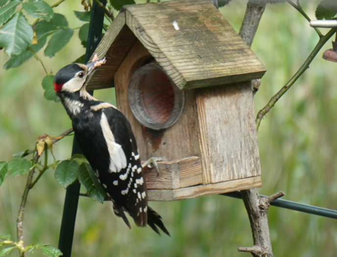Pindakaas verslaafden - Foto: Ingezonden foto