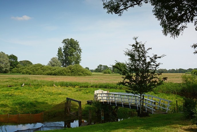 Op de bres voor streekeigen landschap - Foto: Ingezonden foto