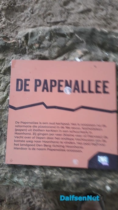 Steen Papenallee opnieuw geplaatst - Foto: Wim