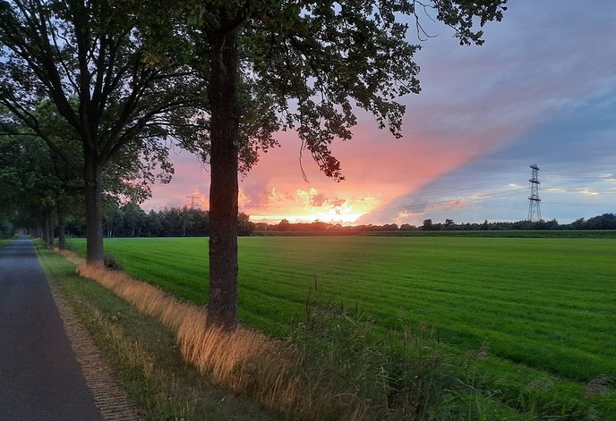 Gevecht en koppie onder? - Foto: Gruune Jopie