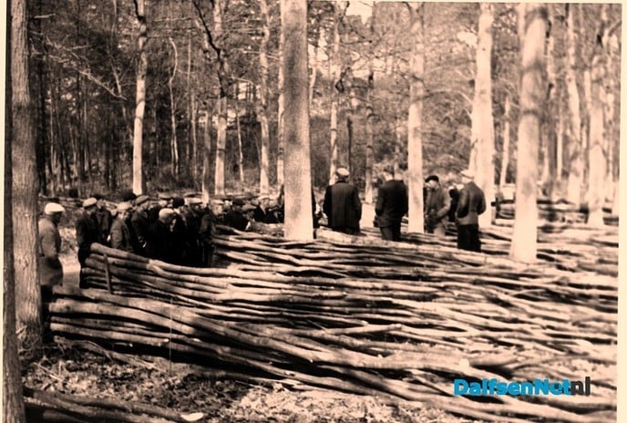 Hout de belangrijkste inkomstenbron voor landgoederen