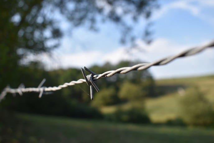 Feitelijk verhaal, geschreven door een boer uit Haaksbergen - Foto: Ingezonden foto