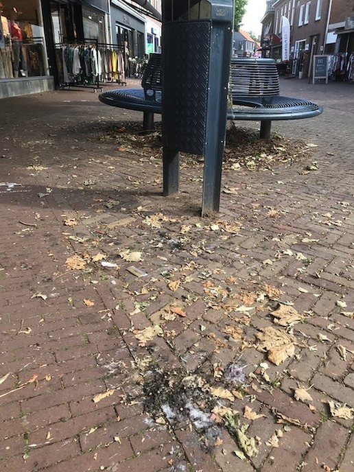 Dalfsen, het puntje puntje dorp van Overijssel - Foto: Ingezonden foto