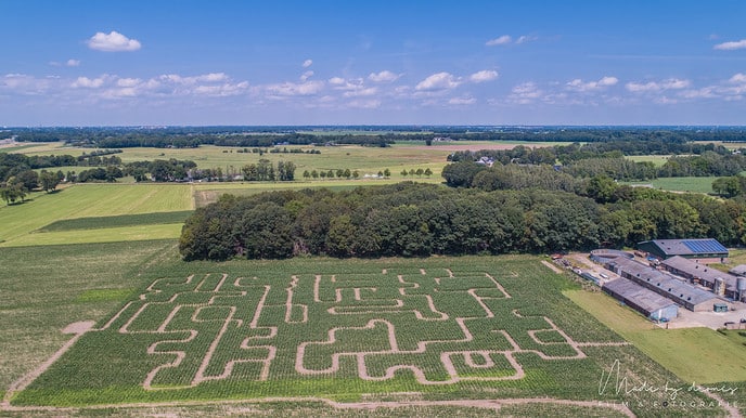  Kom deze zomer dolen in het maisdoolhof!