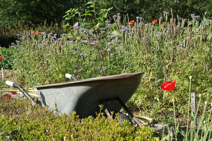 In de moestuin van de de Natuurboerderij - Foto: Paul Scholten