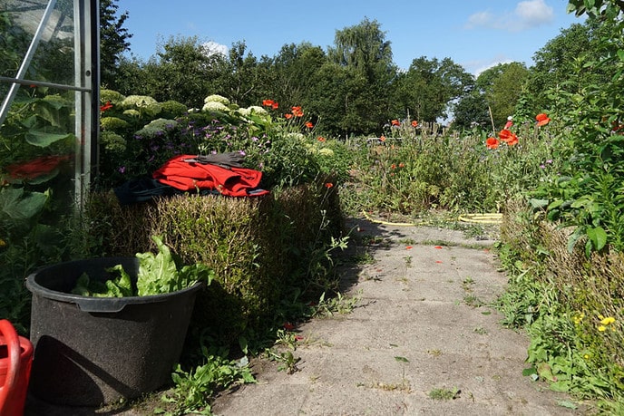 In de moestuin van de de Natuurboerderij - Foto: Paul Scholten