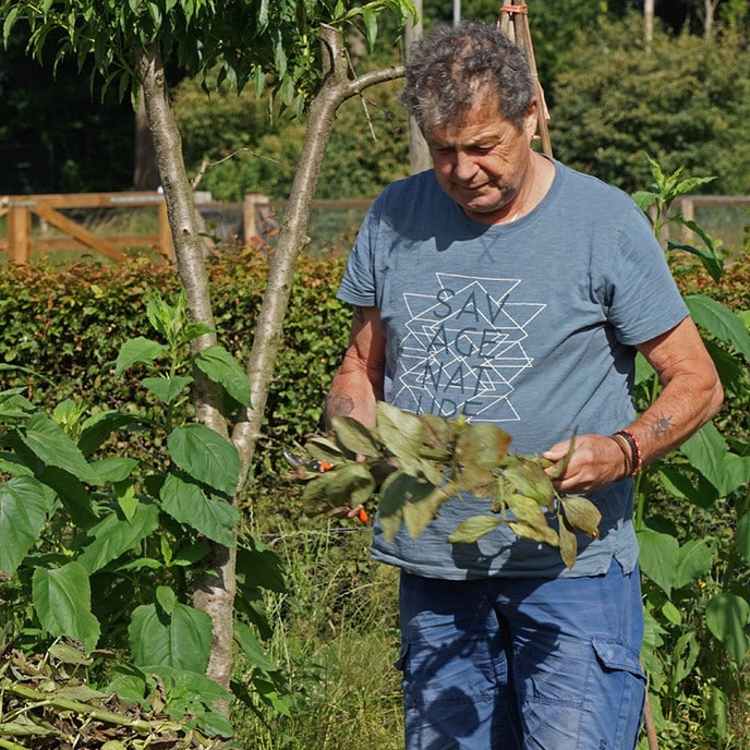 In de moestuin van de de Natuurboerderij - Foto: Paul Scholten