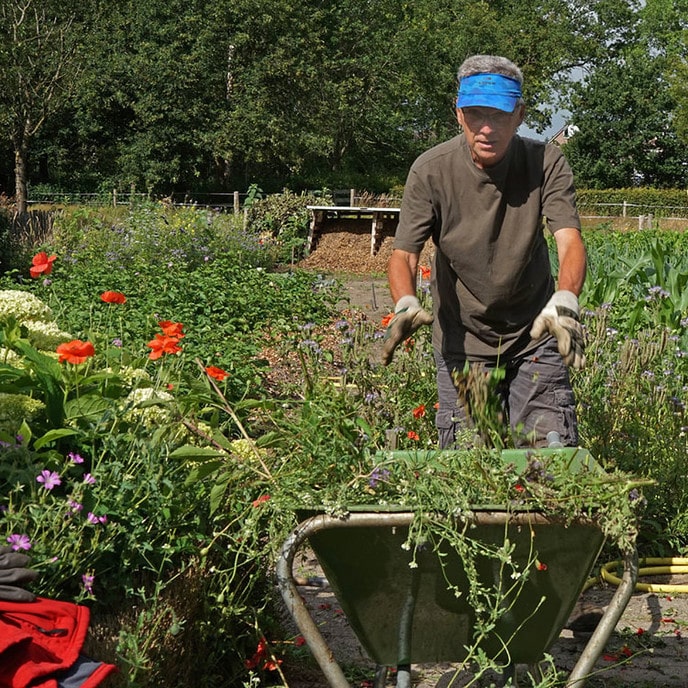 In de moestuin van de de Natuurboerderij - Foto: Paul Scholten