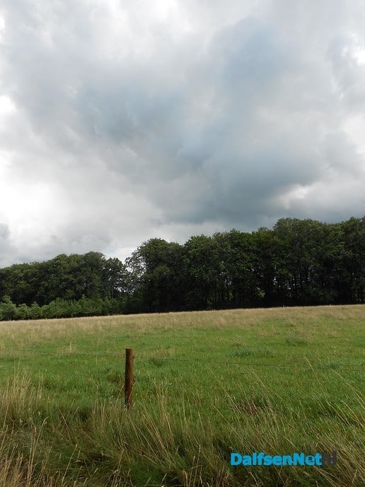 Veel wolken
