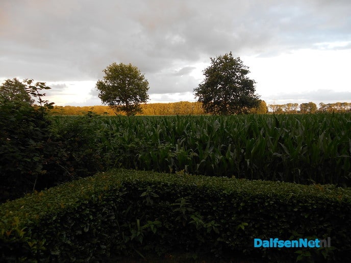 Veel wolken