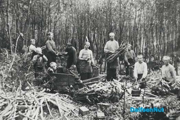 Hout de belangrijkste inkomstenbron voor landgoederen