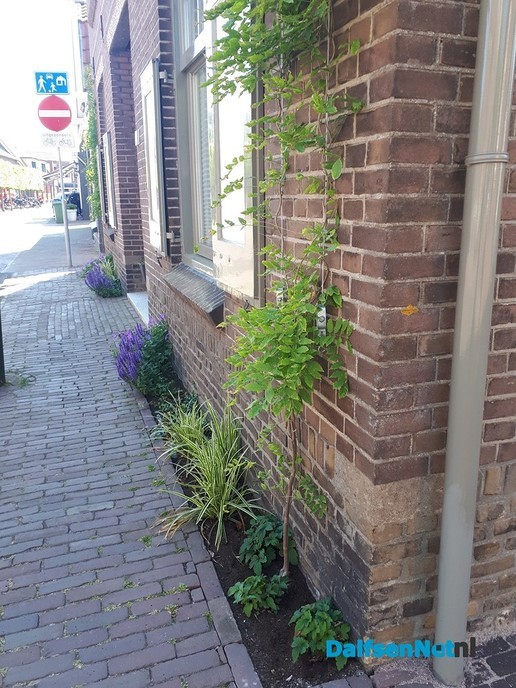 Operatie Steenbreek in actie voor groene tuinen - Foto: Ingezonden foto