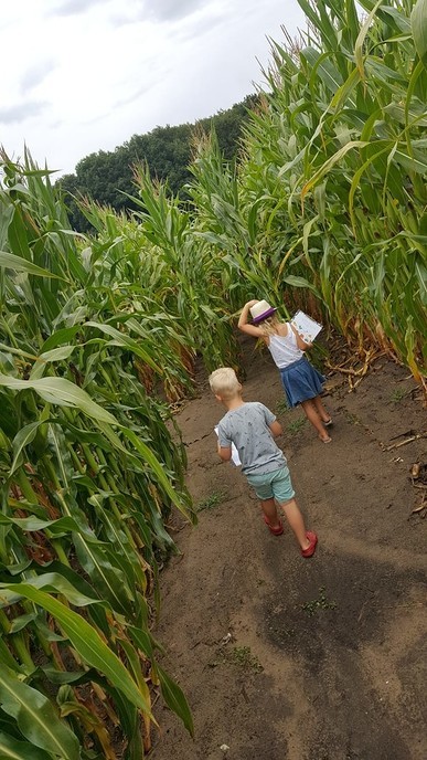  Kom deze zomer dolen in het maisdoolhof!