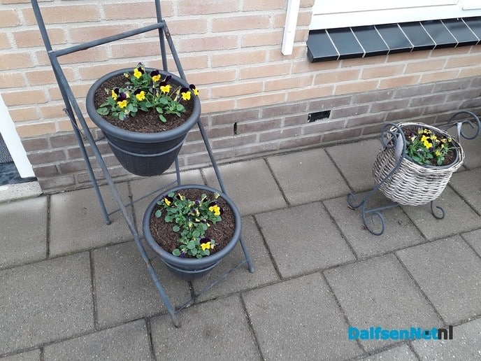 Vermist plantenstandaarden - Foto: Ingezonden foto