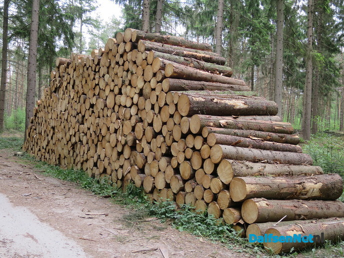 Hout de belangrijkste inkomstenbron voor landgoederen