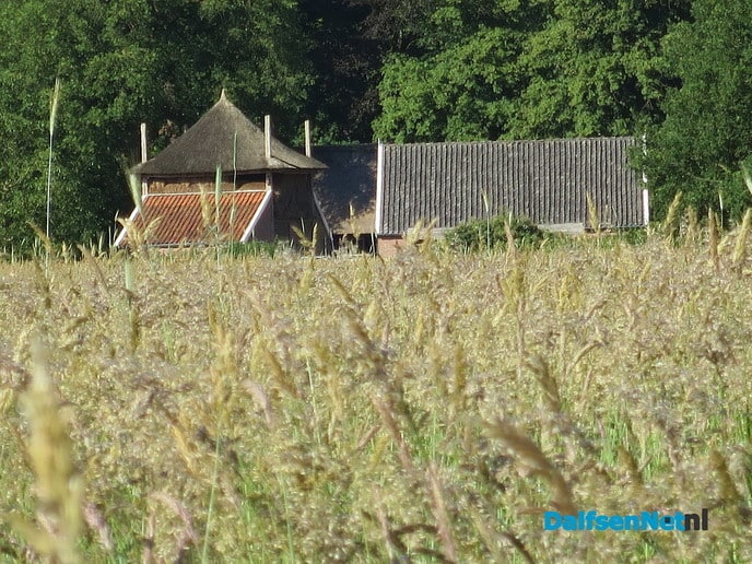 Op De Horte blijft het genieten - Foto: Wim