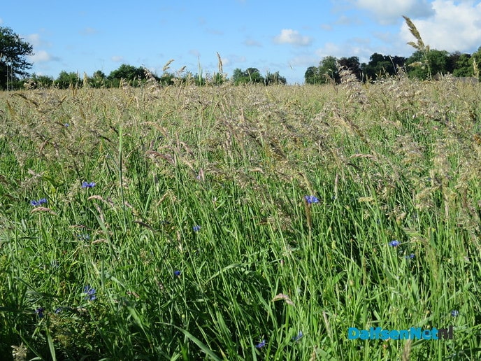 Op De Horte blijft het genieten - Foto: Wim