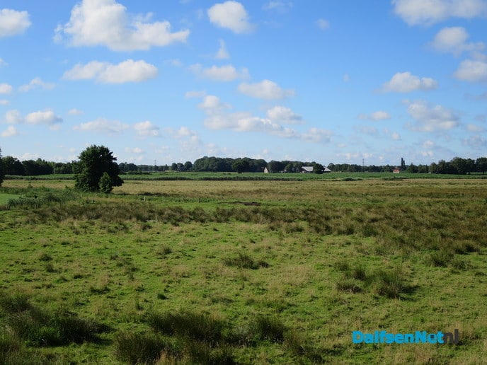 Op De Horte blijft het genieten - Foto: Wim