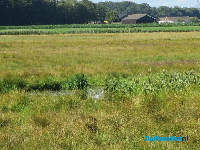 Op De Horte blijft het genieten - Foto: Wim