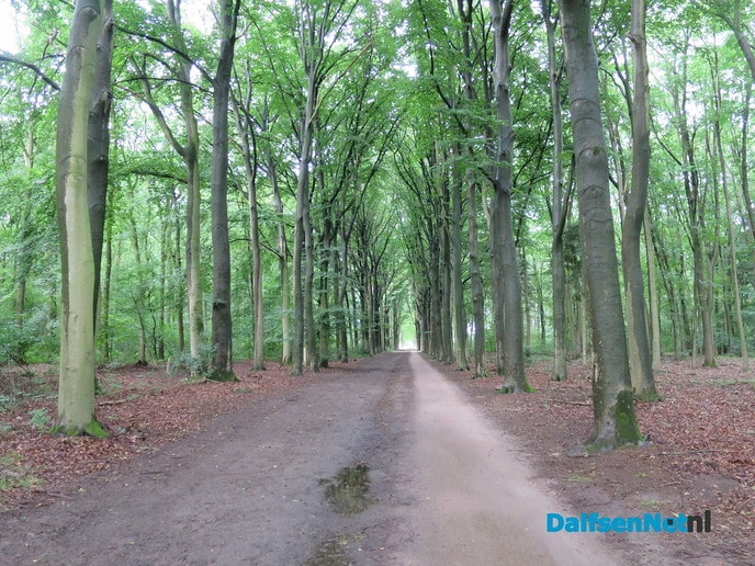 De schoonheid van het landgoed Den Berg - Foto: Wim