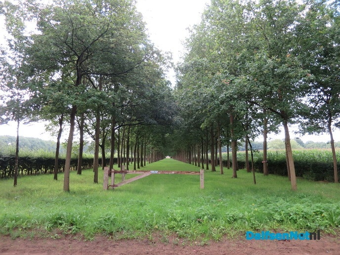 De schoonheid van het landgoed Den Berg - Foto: Wim