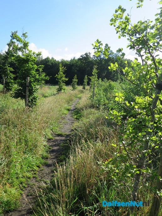 De schoonheid van het landgoed Den Berg - Foto: Wim