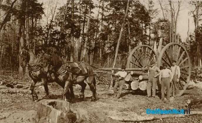 Hout de belangrijkste inkomstenbron voor landgoederen