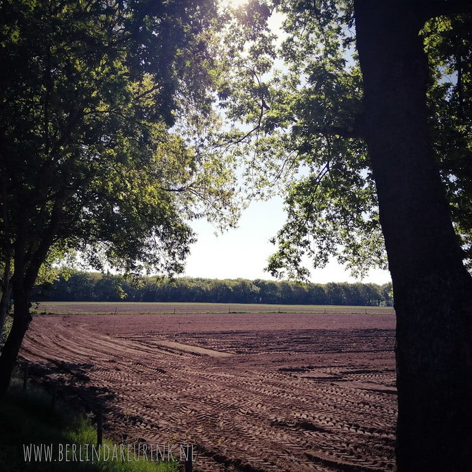 Berlinda wil heel graag verhalen van boer en boerinnen - Foto: Eigen geleverde foto