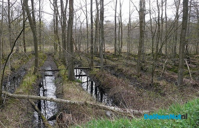 Hout de belangrijkste inkomstenbron voor landgoederen